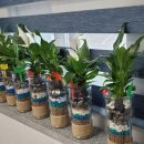 광활보건지소 이미지