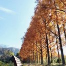 산림자원연구소 이미지