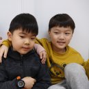 예은재 Daum카페