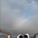 더넥