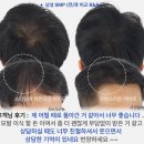디에이헤어 - 은평구 진흥로 267-16 | 디에이헤어