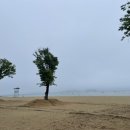 모텔비치타운 이미지