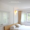 나무의꿈 이미지