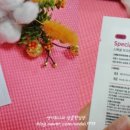 지엘코스메틱 이미지