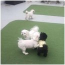 우리 아이 사회성 플러스 이미지