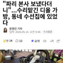파리 본사 보냈다더니...동네 수선집에 수리 맡긴 디올 가방 이미지