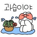 플렌케 이미지