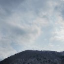 보현산자연휴양림 산 이미지