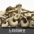 약수2농장 이미지