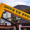 쇠바우골탄광문화장터 이미지