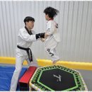 라온제나 태권도 이미지