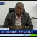 마리누스 이미지