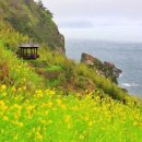 그래그래 이미지