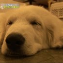 종일농장 이미지