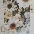 에버그린치과의원 이미지