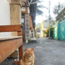 신월중경로당 네이버블로그