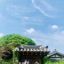 도산서원길(도산면) | 📌 안동 당일치기 여행 코스 추천｜하회마을·도산서원 + 안동 간고등어 맛집 비교