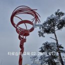 동양고등학교 이미지