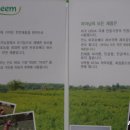 엠제이인터내셔널 이미지