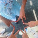 심지약국 | 다낭 맛집 포피스 피자 방문 예약 방법 맛 후기