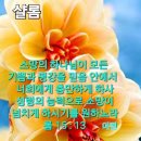 직업의 소명 이미지