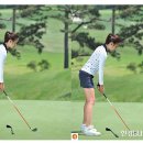 정렬대로 이미지