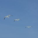 바다위풍경 이미지