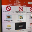 천안 신부동 애견동반가능 카페 야온 YAON