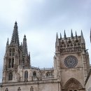 돈키호테 발전소 이미지