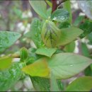 동해곤충농장 이미지