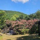 덕은펜션 이미지