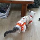 하트만 동물병원 이미지