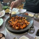 금성쭈꾸미 이미지
