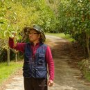 김용호 농장 이미지