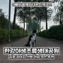 김포한강 4로 | 김포 강아지 산책 장소 러닝 코스 추천 한강야생조류생태공원