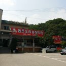 서울 근교 피서 이미지