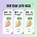 금산인삼관 | 한국 3대 인삼 산지 탐방 (금산, 풍기, 강화)