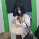 안온점 이미지