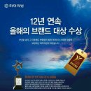 라파 이미지