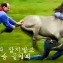 저기요