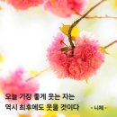 아파요 못난 사랑 이미지