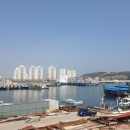 방어진낚시 이미지