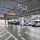 인천송도눈썹&두피페인팅 소미지우 이미지