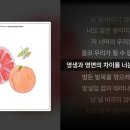 7월13일 월요일 - 0+0, 한로로- 이미지