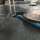 평택셀세모 이미지