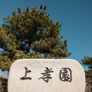 제이스엔소울