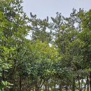 황금3로-R 이미지