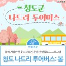 봄나드리투어 이미지