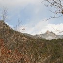 영일 당구장 이미지