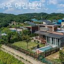 바우바우애견펜션 이미지